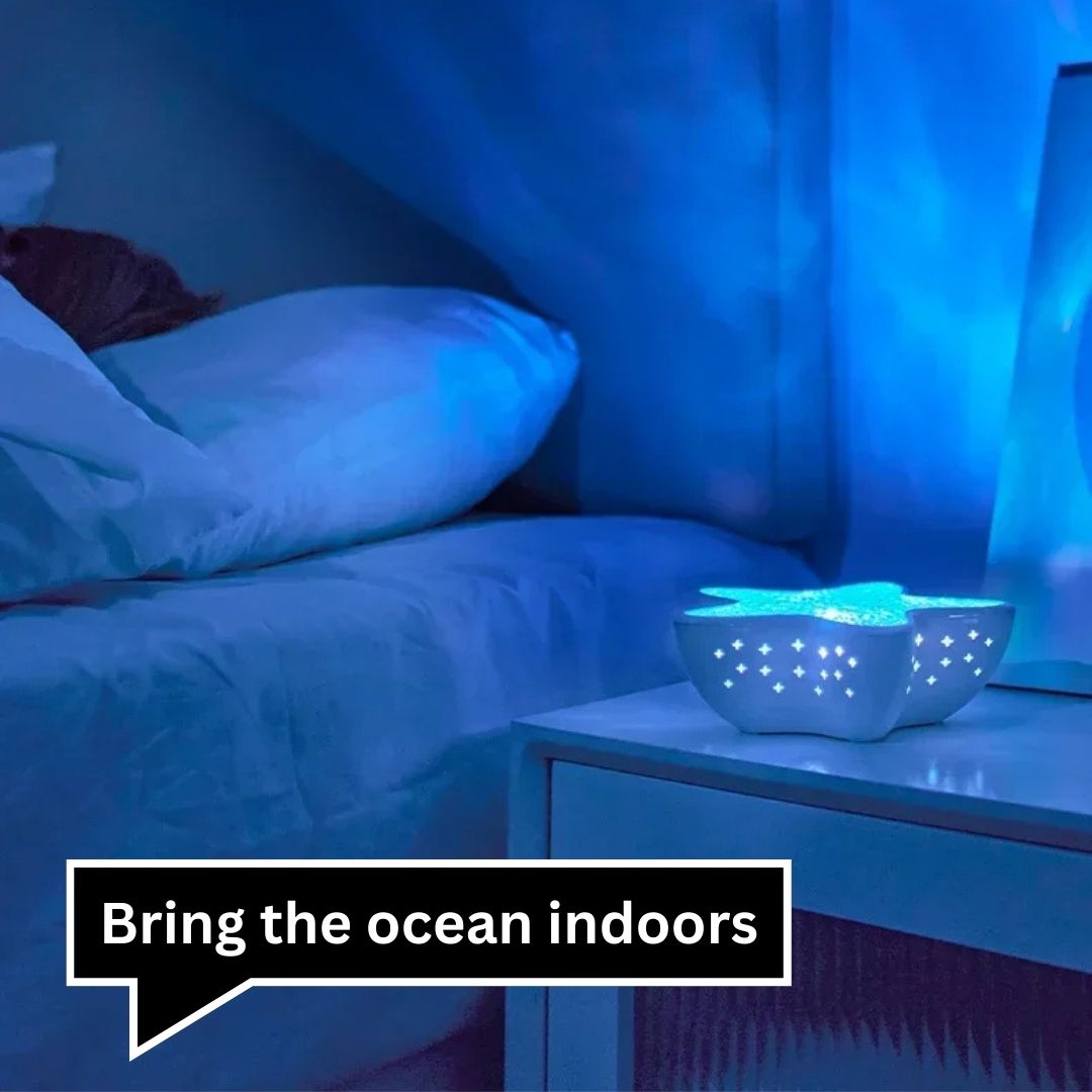 Starfish Lamp